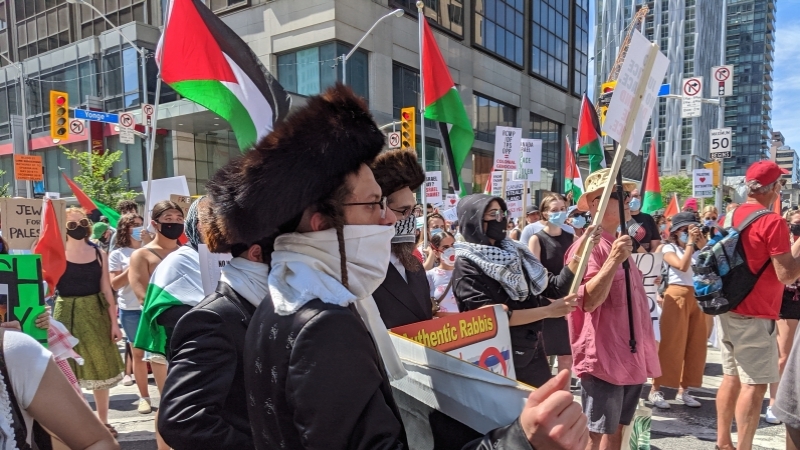 Hundreds pack Toronto streets for Day of Rage rally for Palestine ...